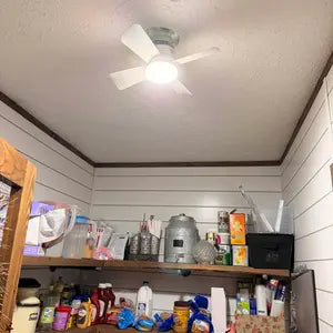 Review by Samantha L. Nashville, TN