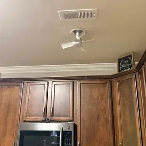 Review by Vanessa D. Houston, TX